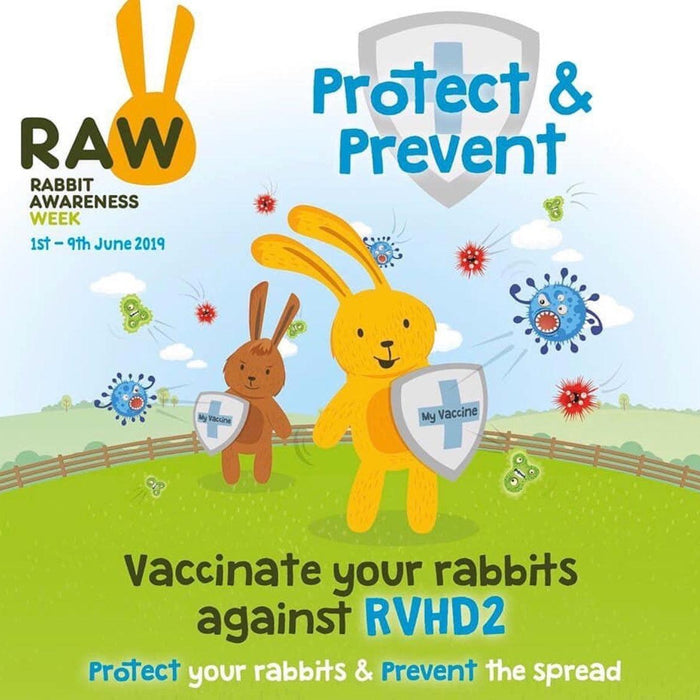 RHVD2 - Hemorrágica Viral 2 - PETTER