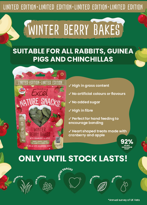 Burgess excel Winter Berry Bakes (limited edition) 60gr